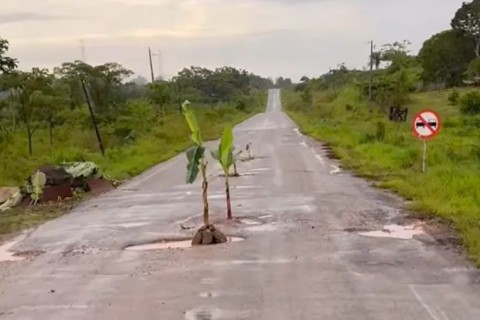 Bananeiras são plantadas em buracos da BR-364 em protesto pelas más condições